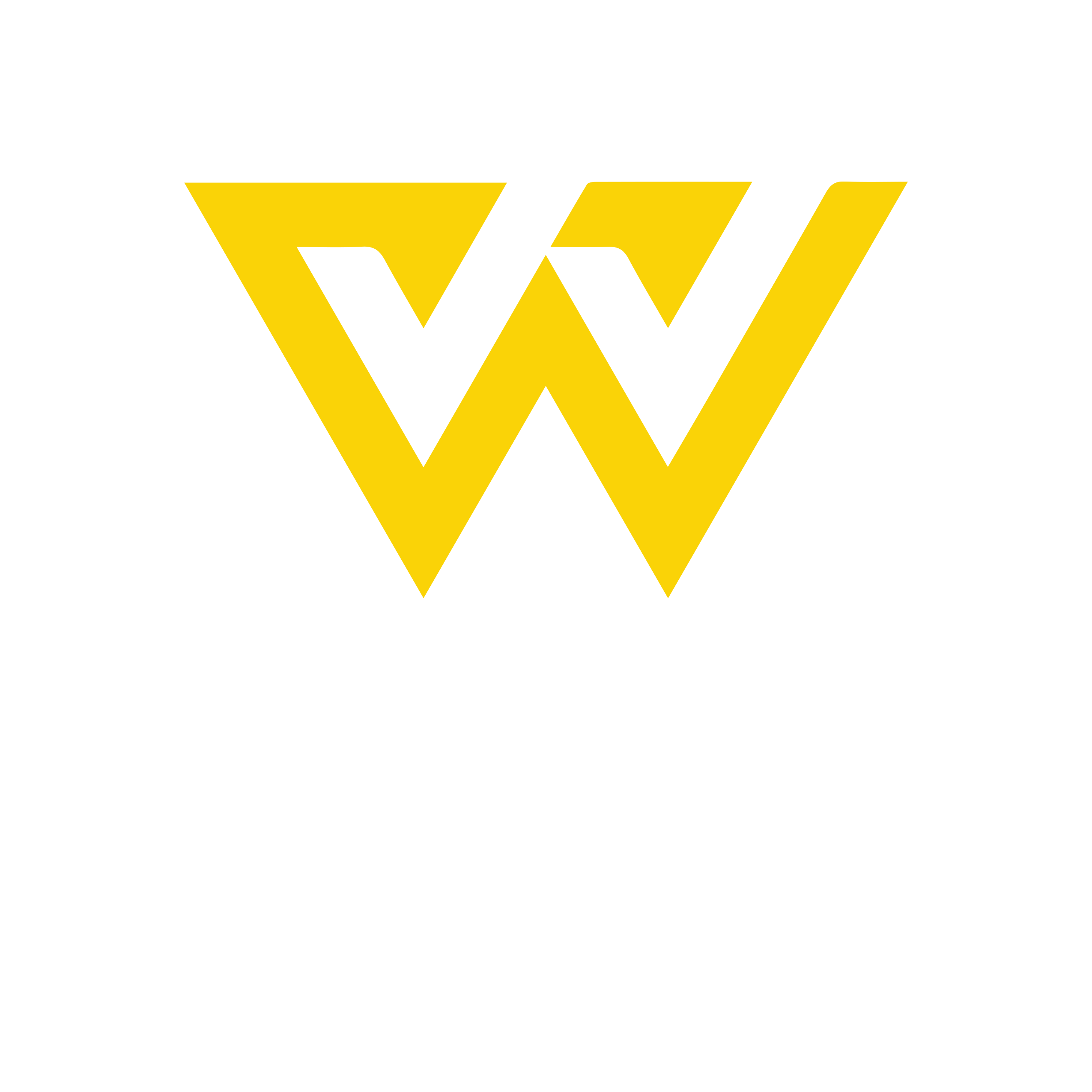 Grupo Wallace